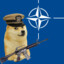 NATO Doge