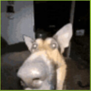 Staffan's Steam avatar