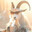 Da_GOAT