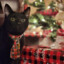 Meowish