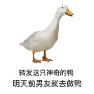 那年杏花微雨你说你是果子狸