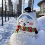 想吃什么在地上找