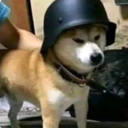 水平试车间主任