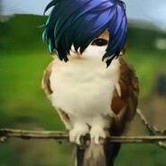 Pajaro Persona 3