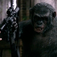 KingKoba