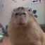 MY_NAME_IS_CAPYBARA