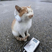 katz