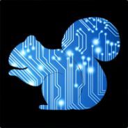 The Digital Squirrel