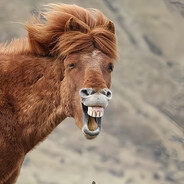 ——下等马分界线——