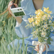 不要给我嘻嘻哈哈