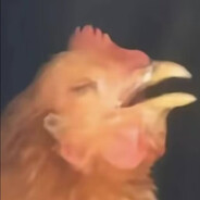 我是疯玛吉又马又急