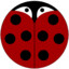 Ladybug Surprise