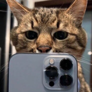 NezoR - steam id 76561198844653983