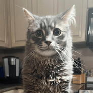 peanut