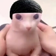 Conny