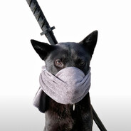 燕子！别走燕子