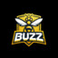 BUZZ GAMING MEDO