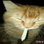 MrCiggy