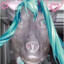 Miku Selflower