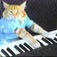 Piano Cat