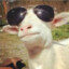 Pupkambing