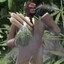 i just took 30 tons of weeds
