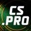 CS.PRO Lekic