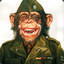 Military Monkey