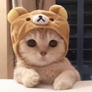 haz caso conchetumare