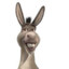 Donkey (Magari)