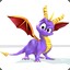 CONFUSED SPYRO