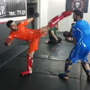 Бой без правил