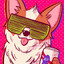 A Really Cool Dog