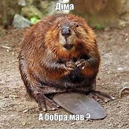 bаннихоп про на ну