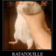 Faze ratatouille