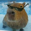 capivara