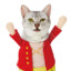 One Piece Cat