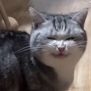 Лизочка Няшка