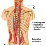 วัยรุ่นล้างตัว
