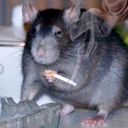 Мудрый_Крыс