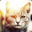 CATka