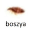 boszya