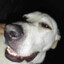 arth's avatar