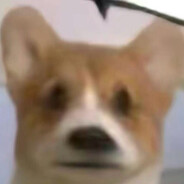 帅气的烤冷面大王