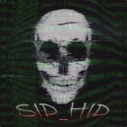 <a color=green>SID_HIDE</a>