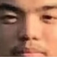 河北第二始祖鸟