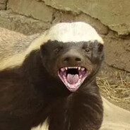 Steam Profile Picture