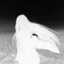 |HAWK| Stamakey