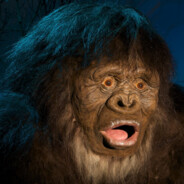 BigFoot