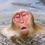 Over Boiled Water